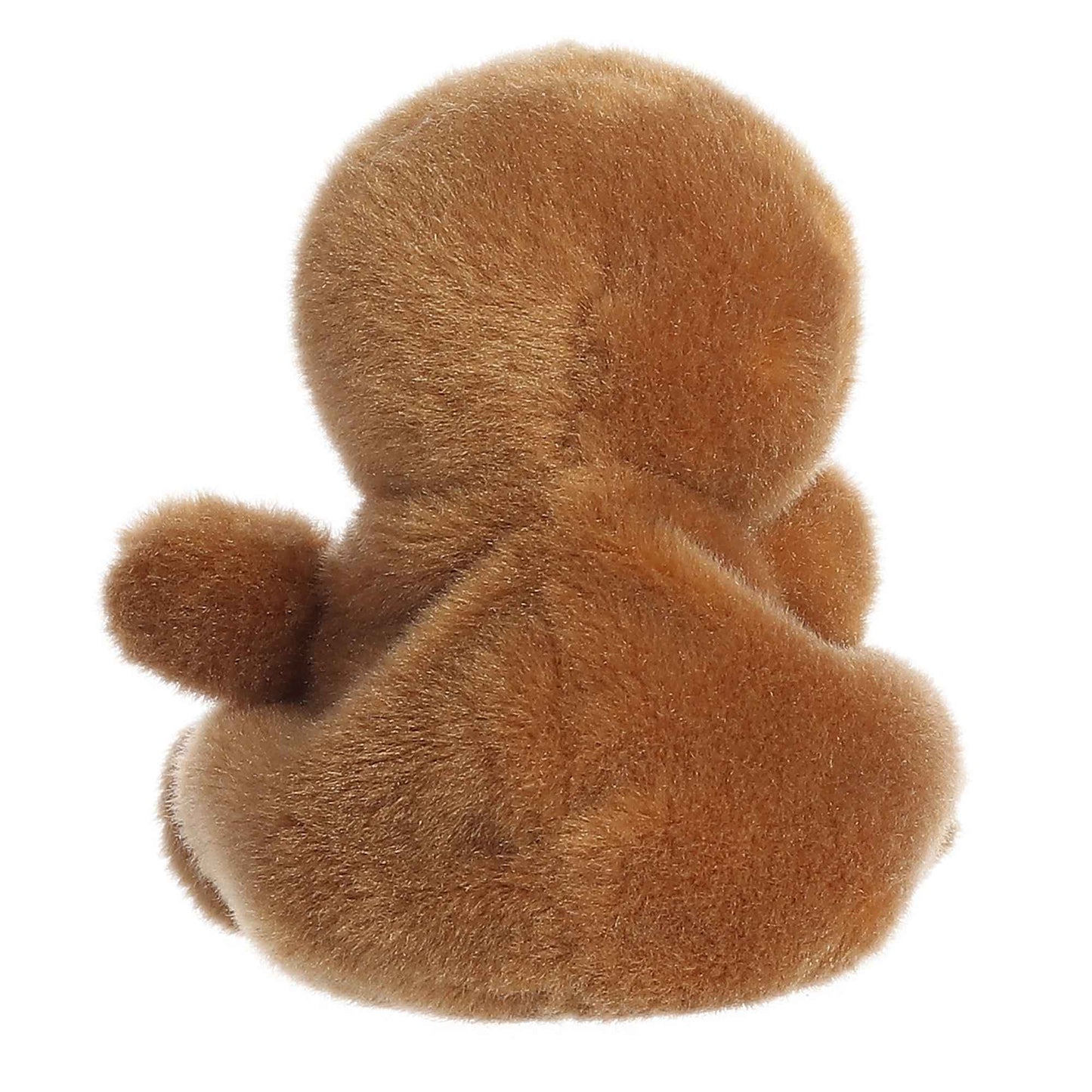 Slomo Sloth