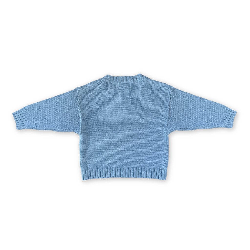 Organic Swirl Intarsia Knit Pull Over - Duck