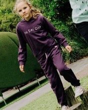 Load image into Gallery viewer, Aubergine Track Pants

