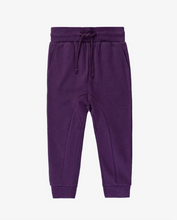 Load image into Gallery viewer, Aubergine Track Pants
