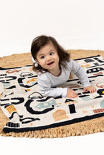 Load image into Gallery viewer, Transport Baby Blanket
