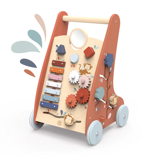 Multi Activity Push Toy
