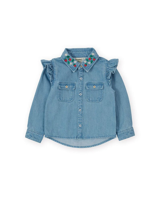 Wild Strawberry Chambray Shirt