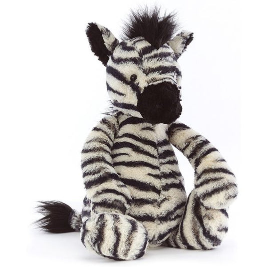 Medium Bashful Zebra