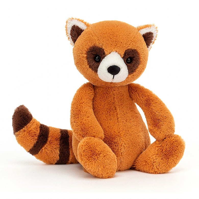 Medium Bashful Red Panda