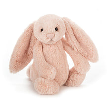Load image into Gallery viewer, Small Bashful Blush - Bunny

