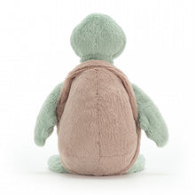 Load image into Gallery viewer, Medium Bashful - Turtle
