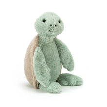 Load image into Gallery viewer, Medium Bashful - Turtle
