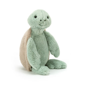 Medium Bashful - Turtle
