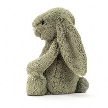 Load image into Gallery viewer, Small Bashful Fern - Bunny
